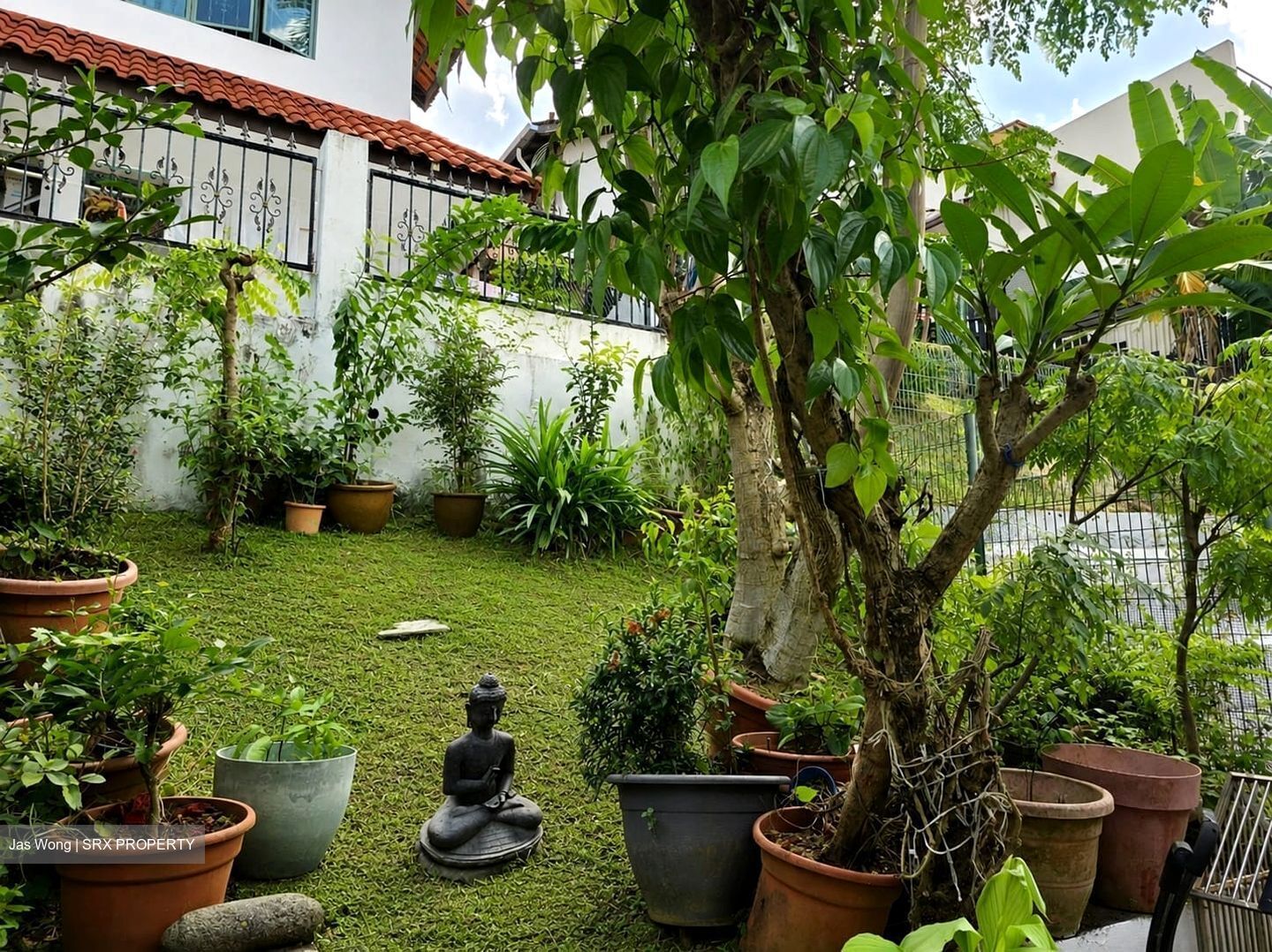Shamrock Park (D10), Terrace #586589561